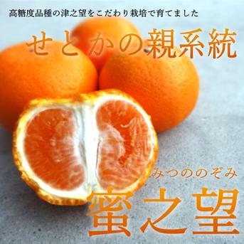 大特価の訳あり品】蜜之望 特大玉サイズ お試し商品 5kg入 ｜ 果物