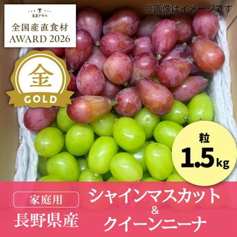 パセリ　勝沼産 ぶどう 粒　クイーンニーナ　シャインマスカット　1ｋ 粒のクイーンニーナ＆シャインマスカット 1.5kg（家庭用） ／本気農場