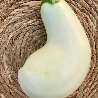 白ナス19kg 白ナス B品『とろ〜り旨なす』 ｜ 野菜/茄子 産直アウル 農家・漁師