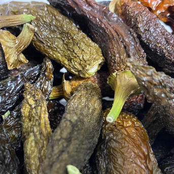 【乾燥唐辛子】【お試し商品】乾燥ハラペーニョ【50g】 乾燥ハラペーニョ50ｇ 野菜/野菜の加工品通販