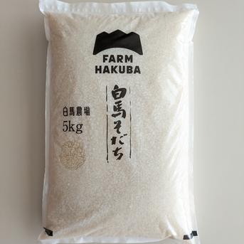 新米！予約販売 ゆうだい21 5kg 令和8年産特別栽培米 特別優秀賞受賞米