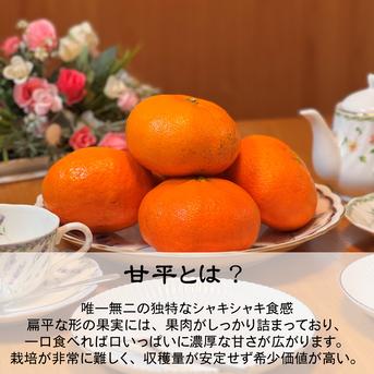 市場にほぼ出回らない】甘平《ご家庭用 2kg》｜柑橘史上トップクラスの
