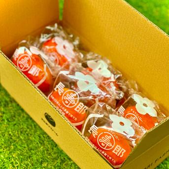 食品 ワンじろうさん専用、箱込み8キロ、訳あり