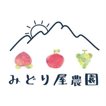 長野県松本産　ぶどう【シャインマスカット・クイーンニーナ】　2房入（約1キロ） 2房入（約1キロ） 果物/ぶどう通販