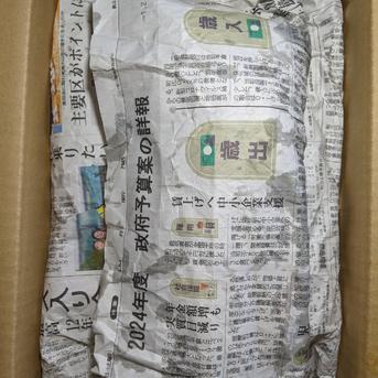 ホウレンソウと茎立ち 約2.2kg 野菜/野菜セット・詰め合わせ通販