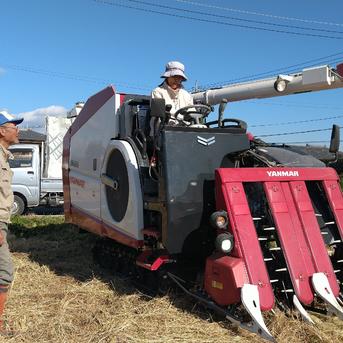 自然栽培　あさひまい　10キロ 幻のお米 朝日米」 〜☆玄米／10kg (2kgを5個)〜 令和6年度産