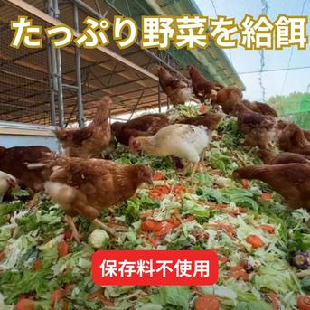 【パック入り｜送料無料！60個】とれたて純国産平飼い自然卵（有精卵）全て国産・添加物／保存料不使用｜大自然の恵みをそのまま提供 60個 卵/鶏卵通販
