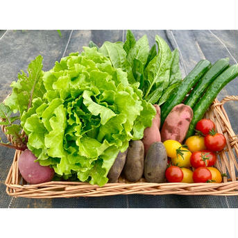 t.p.C farmのお野菜セットSサイズ(60サイズ) 1.5kg 野菜/野菜セット・詰め合わせ通販
