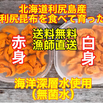 （送料無料）蝦夷バフンウニ 赤身白身食べ比べセット（利尻島産）2パック200g入り 2パック200g入り 魚介類/ウニ通販