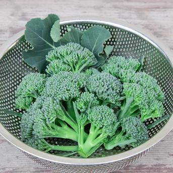 ★ポリポリの食感と野菜の甘味がたまらない★スティックセニョールの頂花蕾(２kg)  [化学農薬・化学肥料不使用] スティックセニョールの頂花蕾(２kg) 野菜/ブロッコリー通販