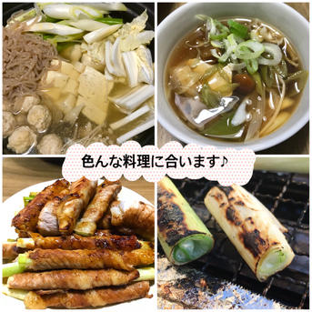 長ネギMサイズ（訳） 15束（4本1束）5kg 野菜/ねぎ通販
