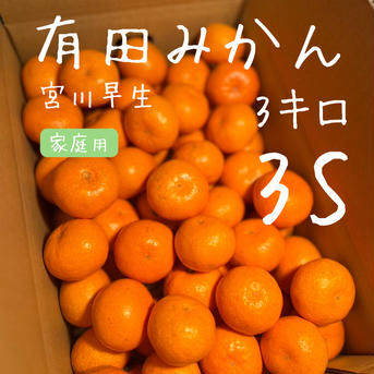 【完熟有田みかん】家庭用　小玉　小粒　3キロ3Sサイズ 宮川早生　早生みかん 3キロ3Sサイズ 果物/温州みかん通販
