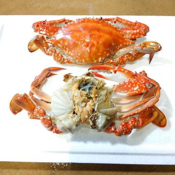 生冷ワタリガニ2kg詰（5-17尾入）北海道 ｜ 魚介類/カニ 産直アウル