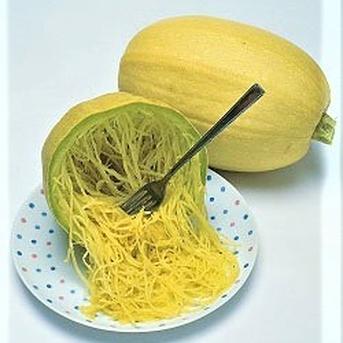 そうめん瓜（金糸瓜）栽培期間中農薬不使用 ｜ 野菜/かぼちゃ 産直 