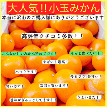 極早生 小玉 有田みかん 箱込み5キロ 和歌山 2s 3s産地直送 | 果物