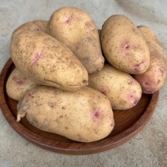 新じゃが・はるか】2kg しっとり甘い新品種のじゃがいも ｜ 野菜