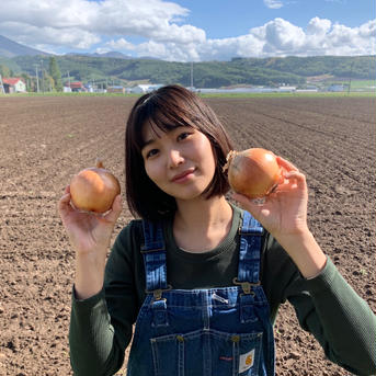 《北海道中富良野産》玉ねぎ 10kg 10kg 野菜/玉ねぎ通販