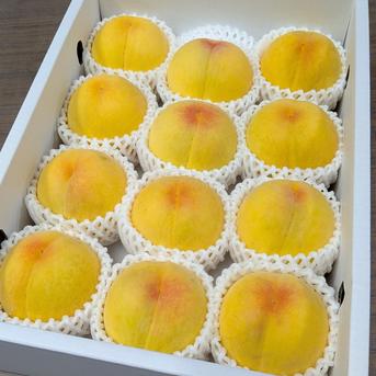 ゴールデンピーチいっぱい贅沢セット！ ｜ 果物/もも 産直アウル 農家 