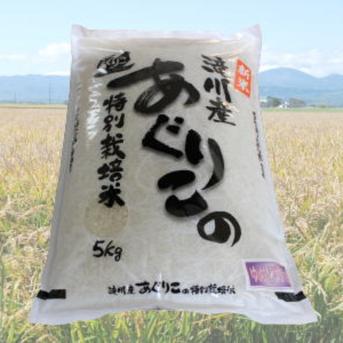 令和6年産特別栽培ななつぼし5kg（12ヶ月連続） 5Kg 米・穀物/米/精米通販