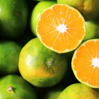 極早生みかん♪ 小玉5kg！ | 果物/温州みかん 産直アウル 農家から