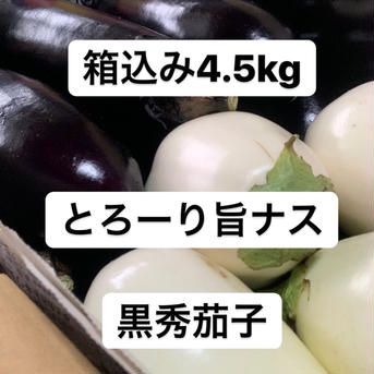 食べ比べ茄子(とろーり旨ナス.黒秀茄子) 4kg 野菜/茄子通販