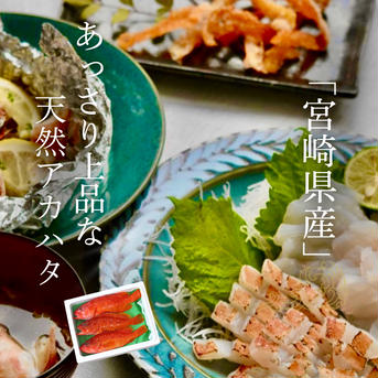 漁師直送！アカハタ　２kg ２㎏　4匹～8匹 魚介類/アカハタ通販