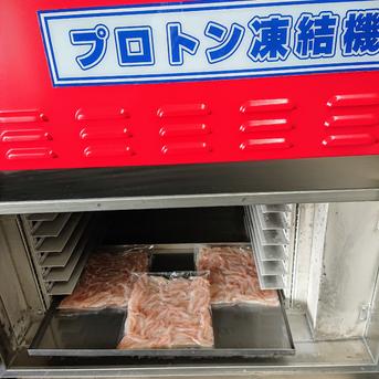 生白えび殻付き(プロトン凍結)300ｇ 300g 魚介類/エビ通販
