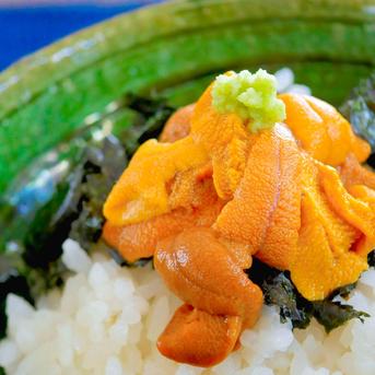 小さめ本生ワサビ_300g前後(訳アリ)お得,お試し,おまかせ ｜ 野菜/薬味