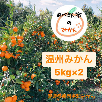 【愛媛県産】e~みかん /温州みかん@家庭用5kg×2 5kg×2 果物/温州みかん通販