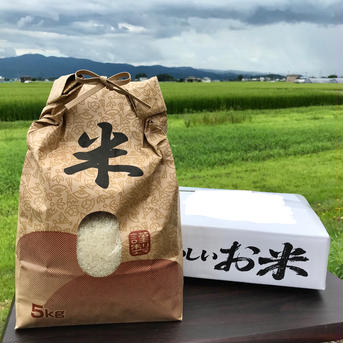 秋田産　令和3年度産　あきたこまち白米5kg 5kg 米・穀物/米/精米通販