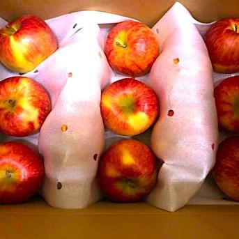 りんご 小玉りんご】未希ライフ 約4kg | 果物/りんご 産直アウル 農家