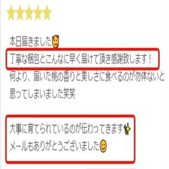 【8月下旬予約】TBSラヴィットで話題沸騰☆"祝"産直受注1万件突破！！あしたの内村!!ニノさんTV出演☆レストラン御用達もも1kg【お試し特価キャンペーン】朝採れ桃【旬祭限定】 樹上完熟桃約1kg3～4個 果物/もも通販