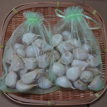 小さめ ホワイト バラにんにく】400g 北海道産 福地ホワイト六片種