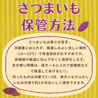 熟成芋】紅はるか お得な10kg（土付き） ｜ 野菜/さつまいも 産直