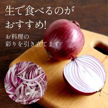 食品 淡路島産 新赤玉ねぎ 20kg 秀品 期間限定