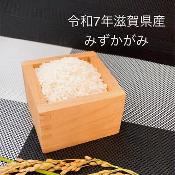 新米　みずかがみ　精米 間もなく！令和7年新米☆みずかがみ玄米 | 米・穀物/米/精米