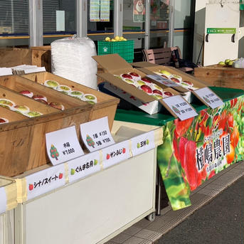 訳あり❗️青森の特産品りんご🍏王林 4~5kg 13~15個 果物/りんご通販