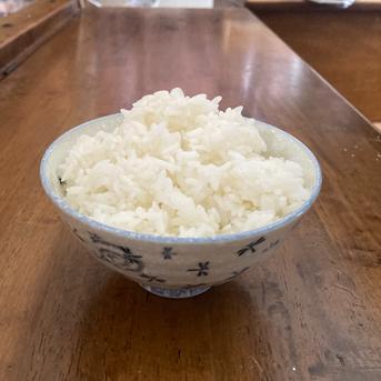 【精米/20kg】円心米/令和4年産きぬむすめ 20kg 米・穀物/米/精米通販