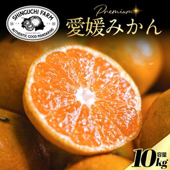 老舗農家が見極めたプレミアム【愛媛みかん10kg】愛媛県川上産 贈答用