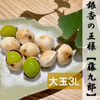 6周年限定】《1番人気！》祖父江銀杏 大玉3L500g＋【10％増量