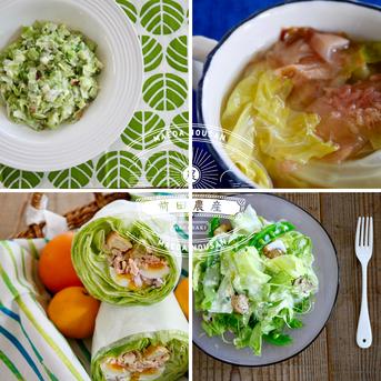 絶品キムチが出来上がる！やわらかミニ白菜 １０～１２玉 野菜/白菜通販