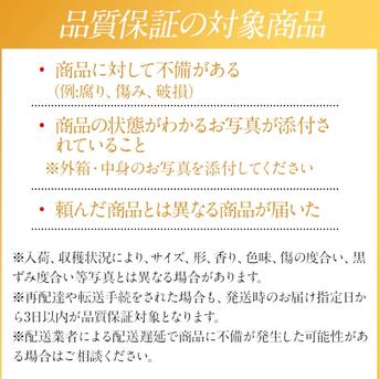 選果落ち 訳あり品 熊本産 ミニトマト＆アイコトマト 合計約1キロ【003