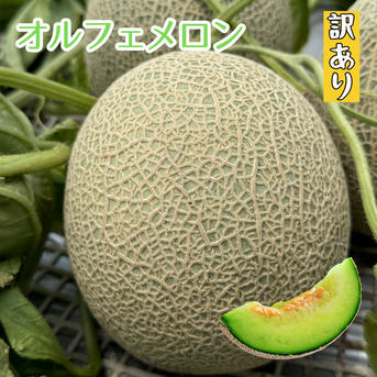 オルフェメロン【B品3L】2玉 ｜ 果物/メロン 産直アウル 農家・漁師