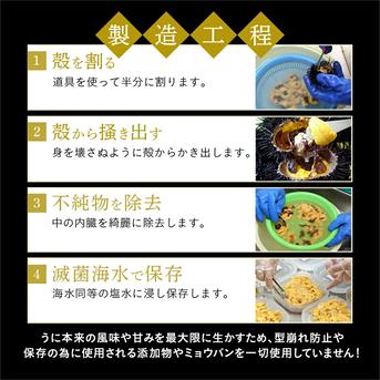 塩水生うに(キタムラサキウニ)100g×5個入 礼文島産 【送料無料】 100g×５個 魚介類/ウニ通販