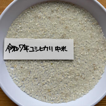 令和七年新潟県産コシヒカリ中米 | 米・穀物/米/精米 産直アウル 農家