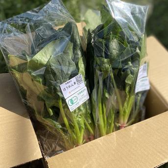 甘くて肉厚！ほうれん草200g×6袋☆有機JAS認証 ほうれん草1.2kg 野菜/ほうれん草通販