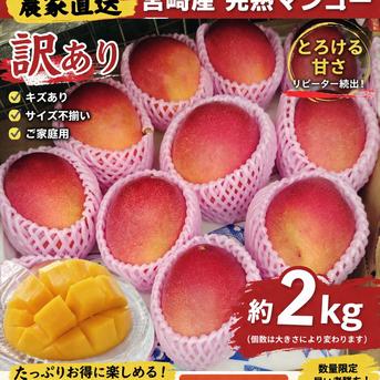 宮崎完熟マンゴー訳あり約2ｋｇ 早い者勝訳あり完熟マンゴー2ｋg とろける甘さ 宮崎完熟マンゴー約2kgワケアリ ｜ 果物/マンゴー 産直アウル 農家