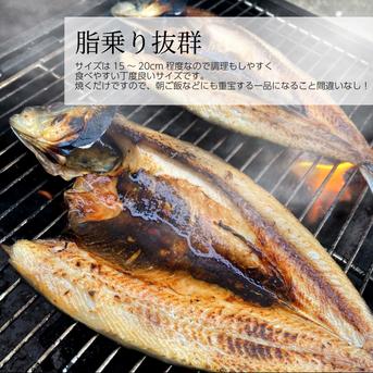 脂のり◎真イワシの開き8P(16尾)天日干し 真イワシの開き8P(16尾) 魚介類/魚介の加工品通販