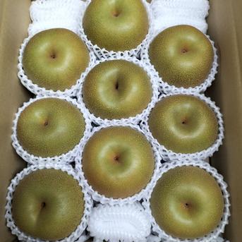 食品 幸水 梨 小玉 35-45玉 9.5kg-10kg