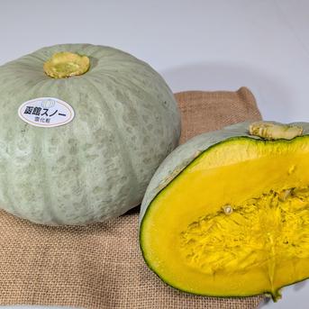 北海道森町産かぼちゃセット4kg（函館スノー・函館黒船） ｜ 野菜